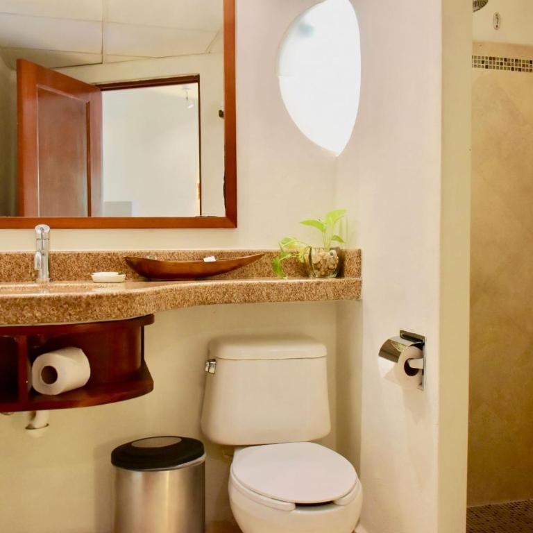 Playa Palms Beach Hotel - Studio with Garden View - 9