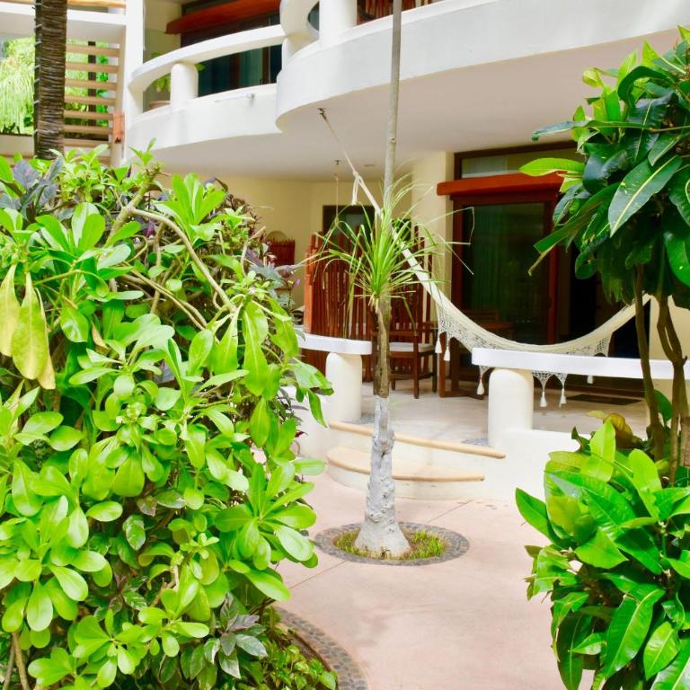 Playa Palms Beach Hotel - Studio with Garden View - 2