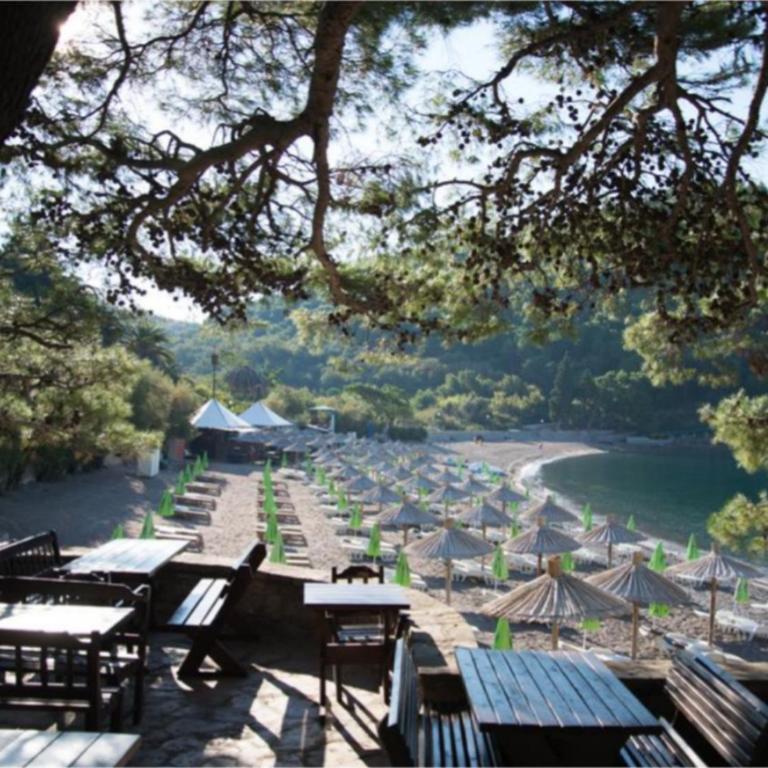 LUČICE - 2026 - PETROVAC, Prijevorac, BB - Apartment - OXANA - Stan 1 - Two-Bedroom Apartment - 43