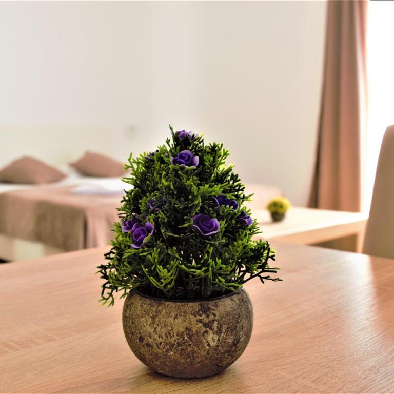 Martinović Rooms - Studio sa Balkonom - 4