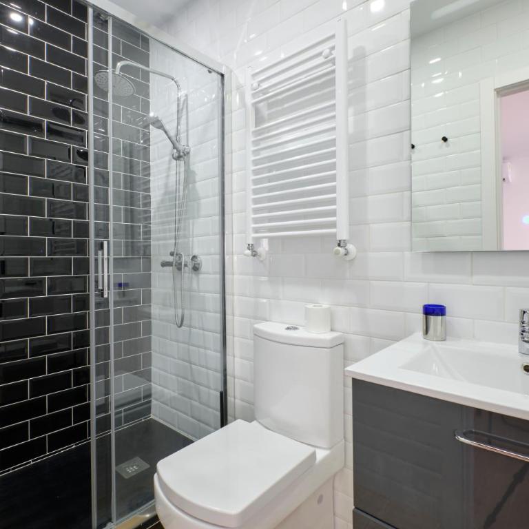 Ever House - ALCALA CIELO 2 ROOFTOP - Two-Bedroom Apartment - 25