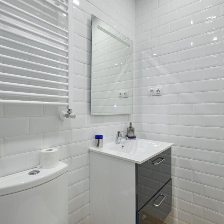 Ever House - ALCALA CIELO 2 ROOFTOP - Two-Bedroom Apartment - 24