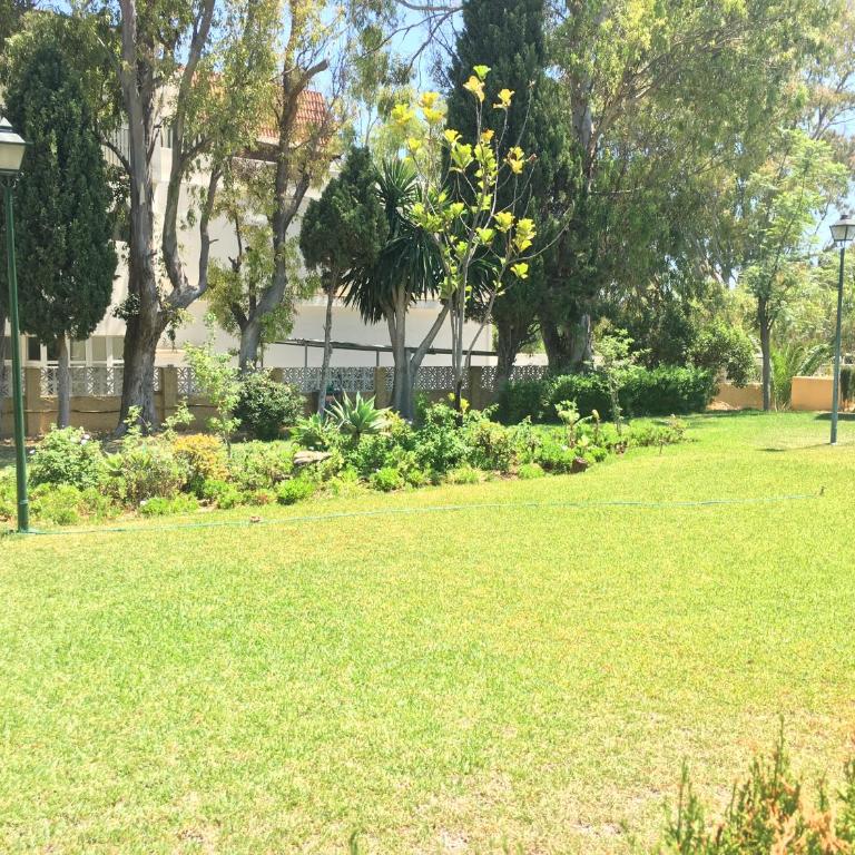 Apartamento CARIHUELA PUERTO - Apartamento de 1 dormitorio - 16