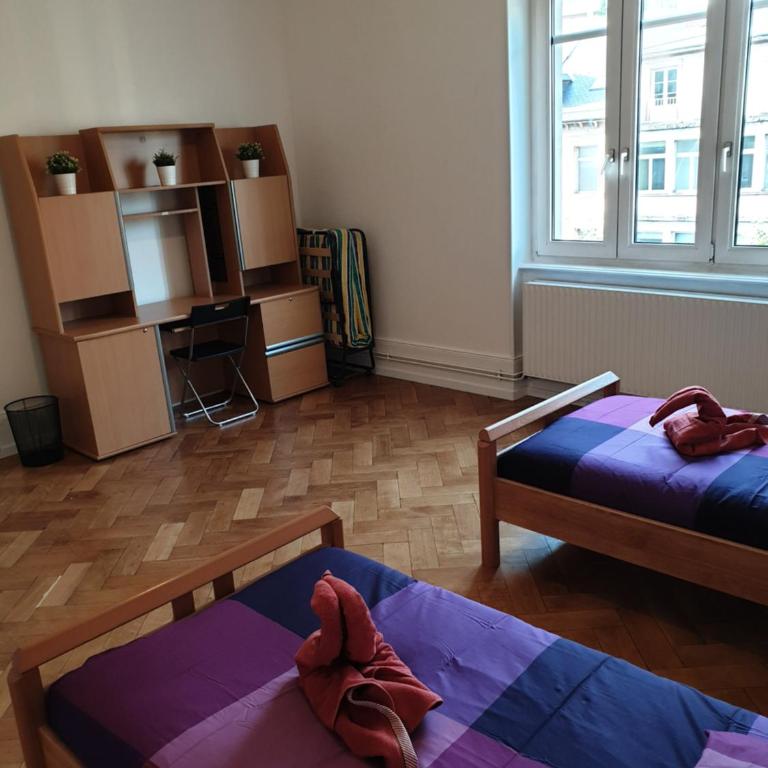 Grand appart confort - Hyper centre - Strasbnb - Appartamento - 48