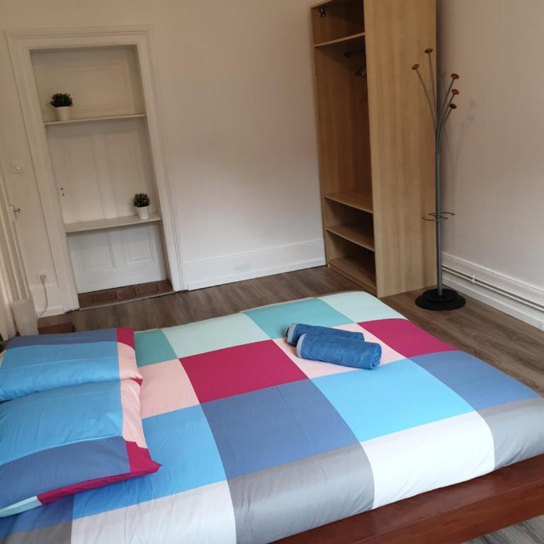 Grand appart confort - Hyper centre - Strasbnb - Appartamento - 41