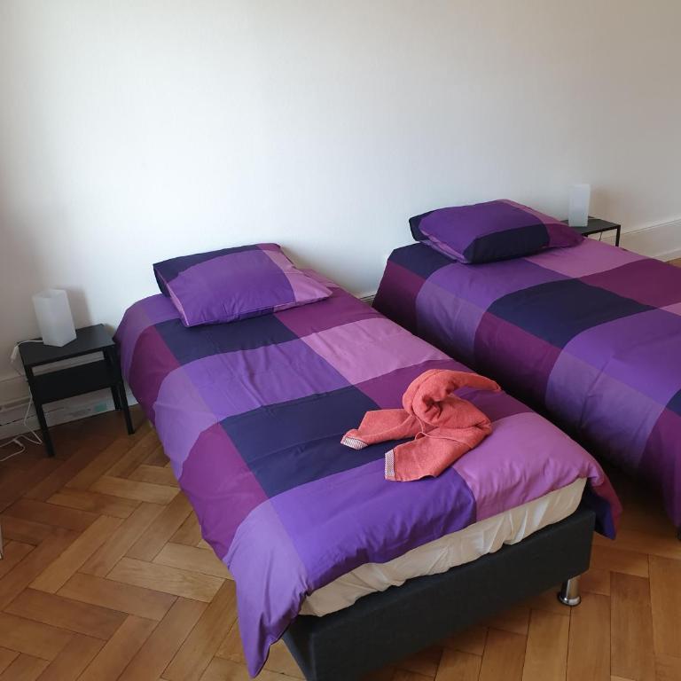 Grand appart confort - Hyper centre - Strasbnb - Appartamento - 36