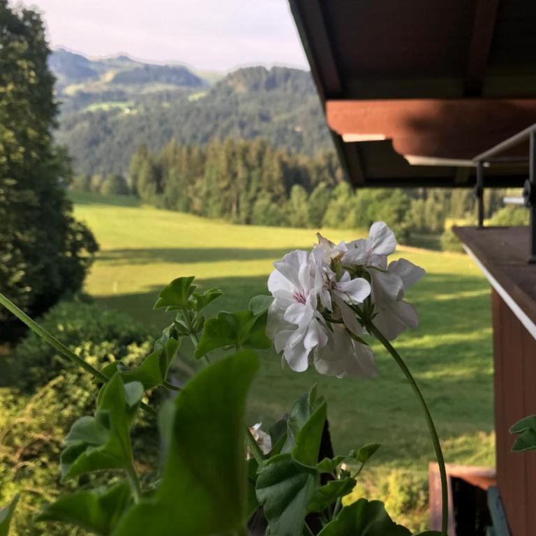 Hof Oberhaus - Apartment mit 1 Schlafzimmer - 3