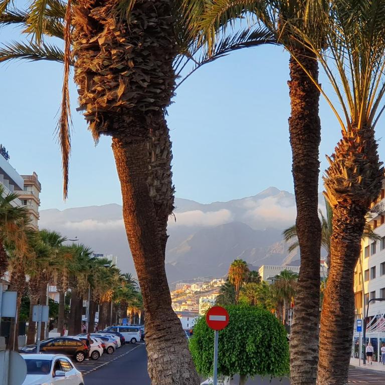 Spectacular Renovated Apartment, 5 min to Camison Beach, with AirCon - Apartamento de 1 dormitorio - 50
