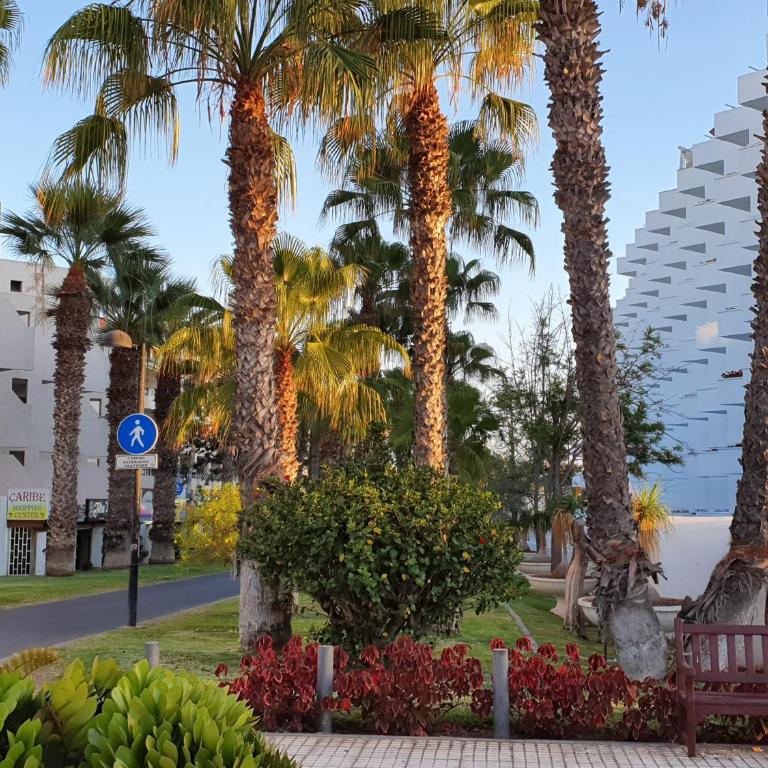 Spectacular Renovated Apartment, 5 min to Camison Beach, with AirCon - Apartamento de 1 dormitorio - 45