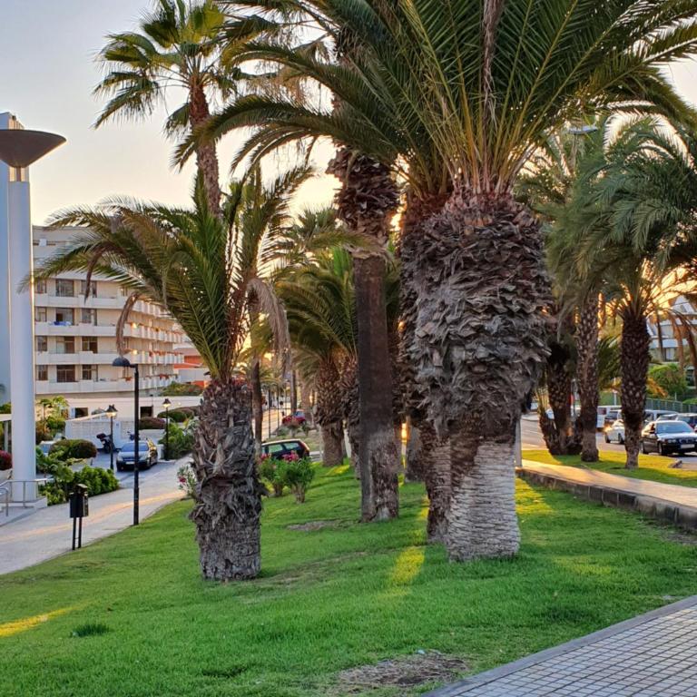 Spectacular Renovated Apartment, 5 min to Camison Beach, with AirCon - Apartamento de 1 dormitorio - 52
