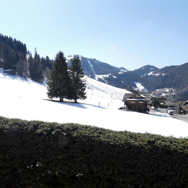 Petit Lutin - Chalet sur les pistes - Superior Apartment - 15