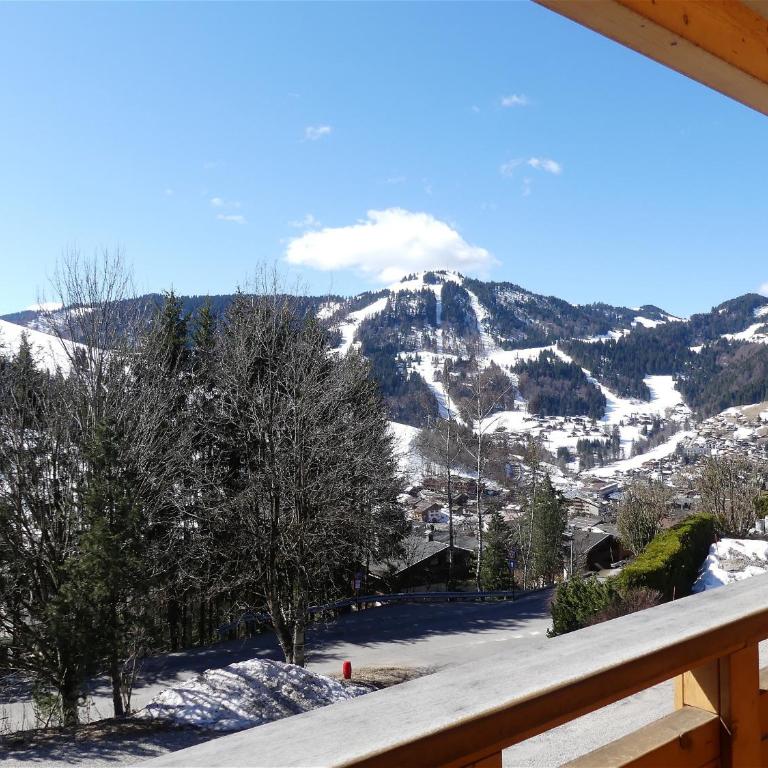 Aulp de Suz 2 - Chalet avec vue - Chalet 2 Chambres - 4