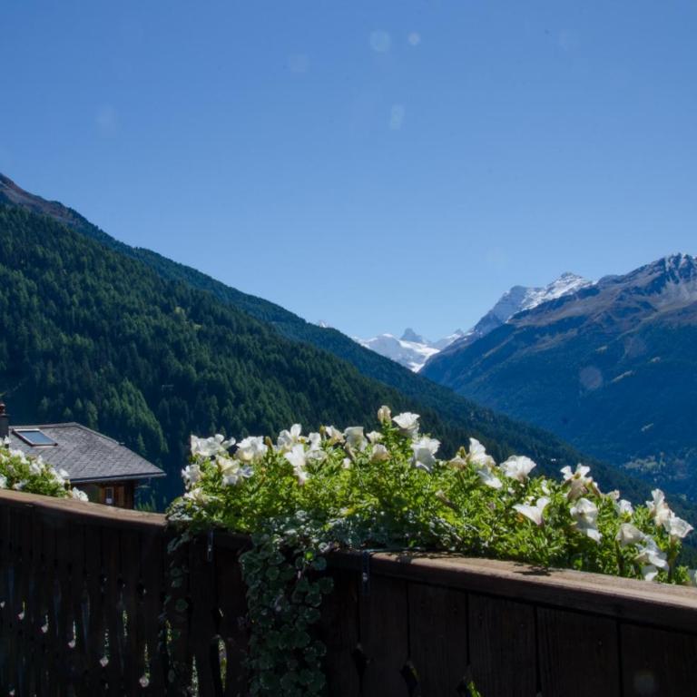 Hôtel Le Grand Chalet Favre - Doppelzimmer Süd - 4