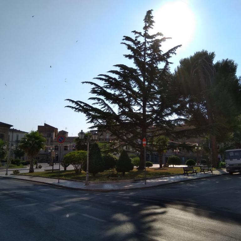 GRAZIOSO APPARTAMENTO CENTRALISSIMO - Appartamento con 2 Camere da Letto - 36