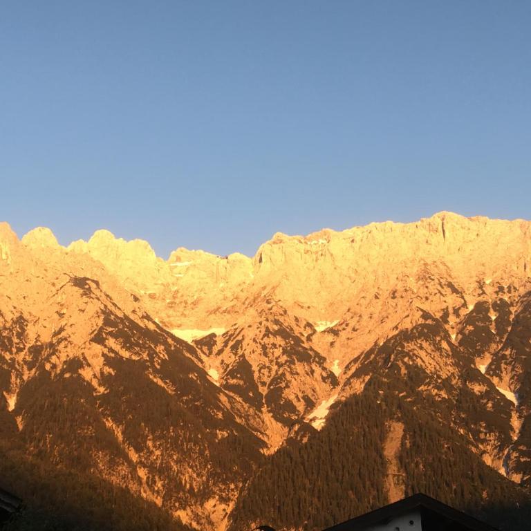 ALPENFREUND - Apartment - Erdgeschoss (ALPENFREUND 3) - 8