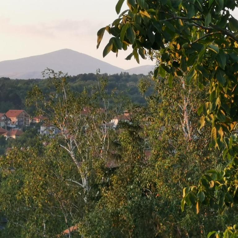 Sokobanja central park APT with mountain view balcony - Apartman sa 1 Spavaćom Sobom - 6