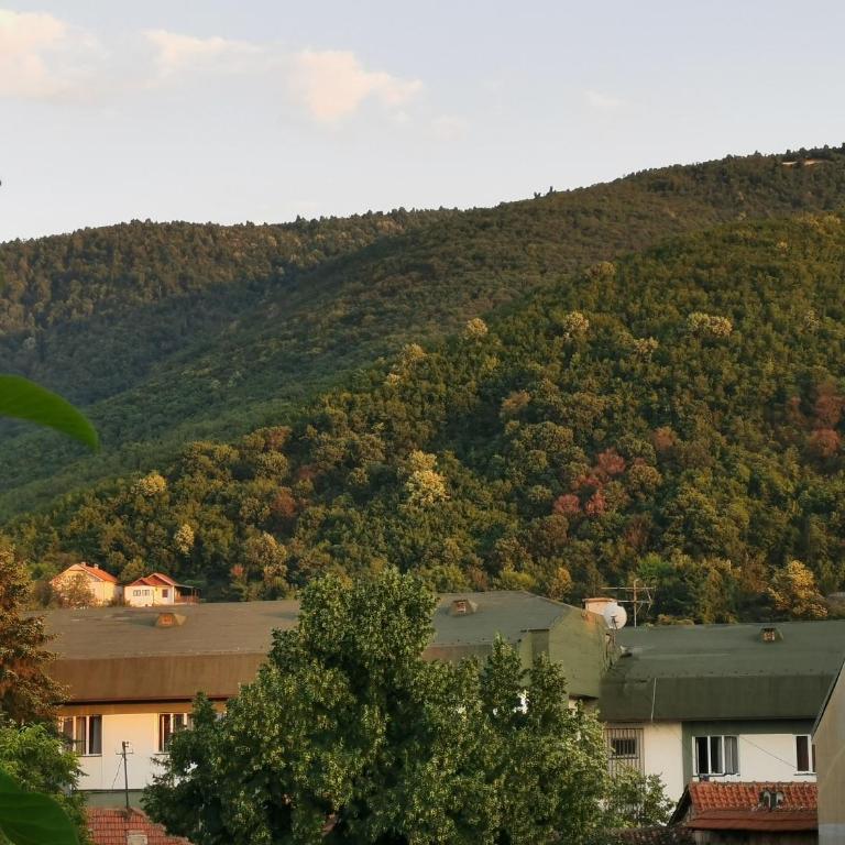 Sokobanja central park APT with mountain view balcony - Apartman sa 1 Spavaćom Sobom - 12