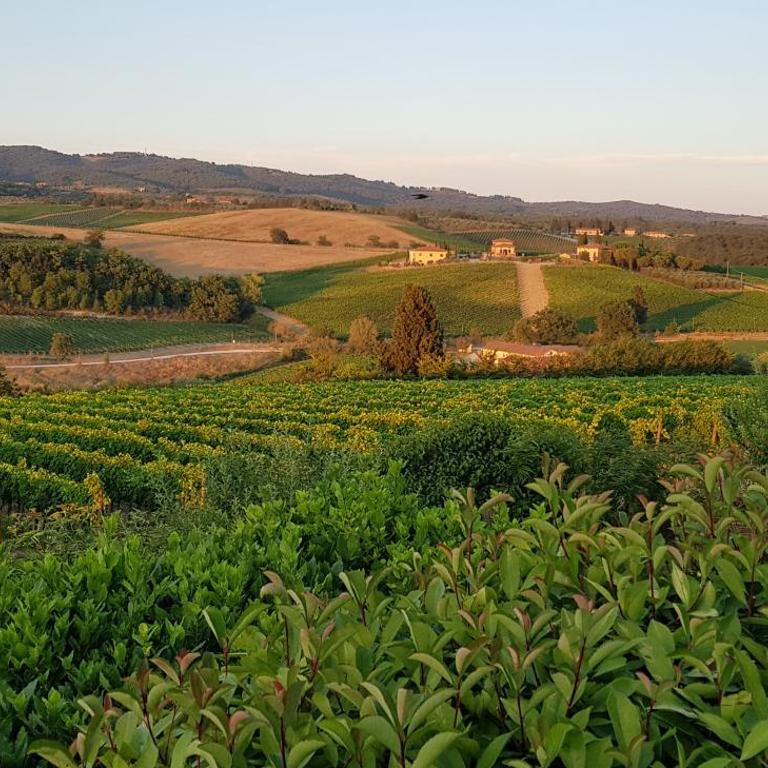 Luxury Serviced Cottage in a Historical Chianti Borgo - Casa con 2 Camere da Letto - 46