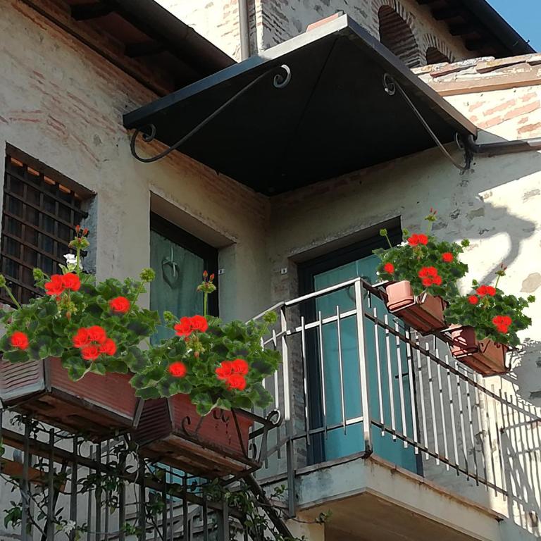 Podere Chiocciola - Appartamento Standard - 5