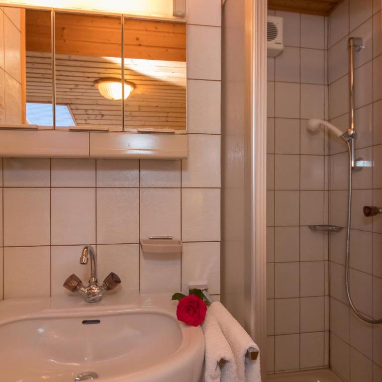 Teufenbachgut - Einzelzimmer mit Dusche - 1