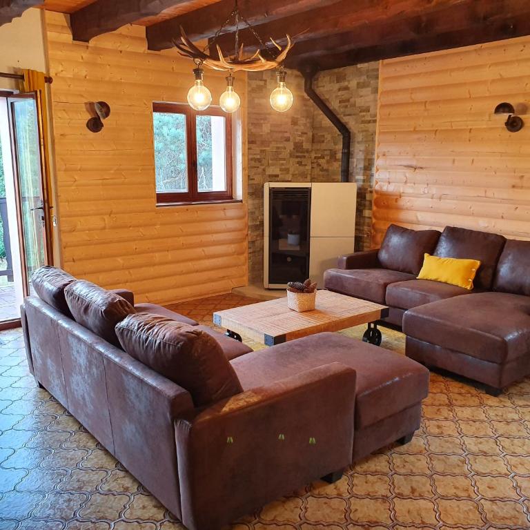 LE CHALET VOSGIEN bain nordique Kota Grill - Chalet - 11