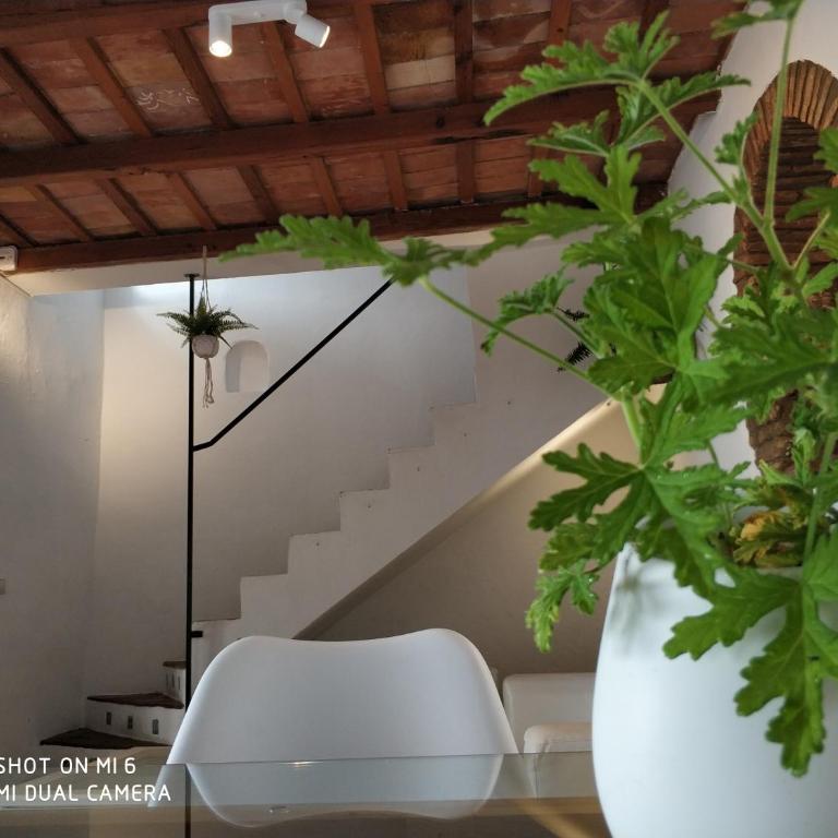 The best in the center of Tarifa - Apartamento con terraza - 37