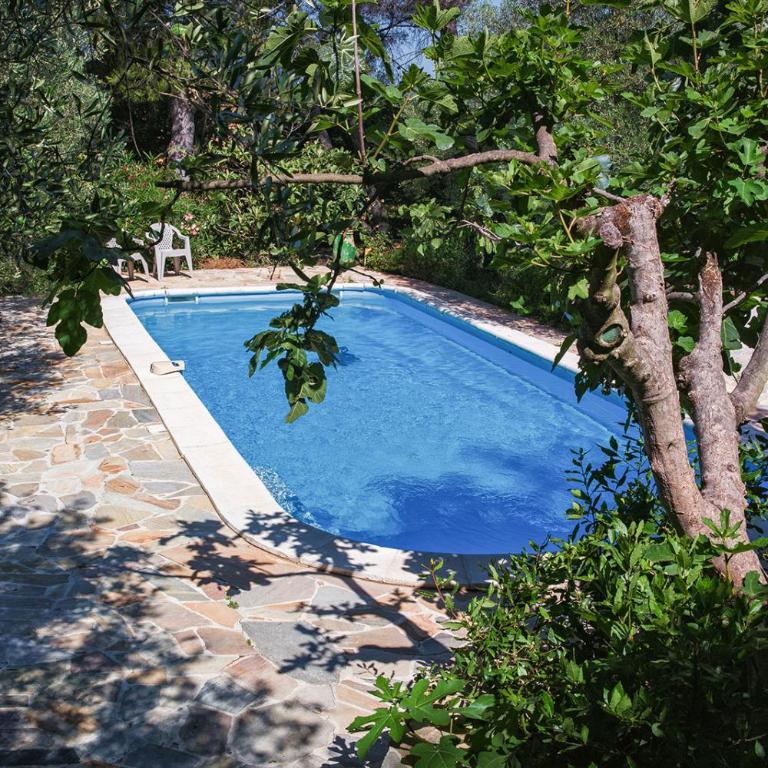 Duché d'Uzès Villa Celina Avenue des Cévennes - Appartement avec Terrasse - 8