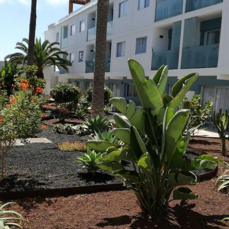 APPARTEMENT BONITO VISTAL BRISTOL SUNSET BEACH - One-Bedroom Apartment - 60