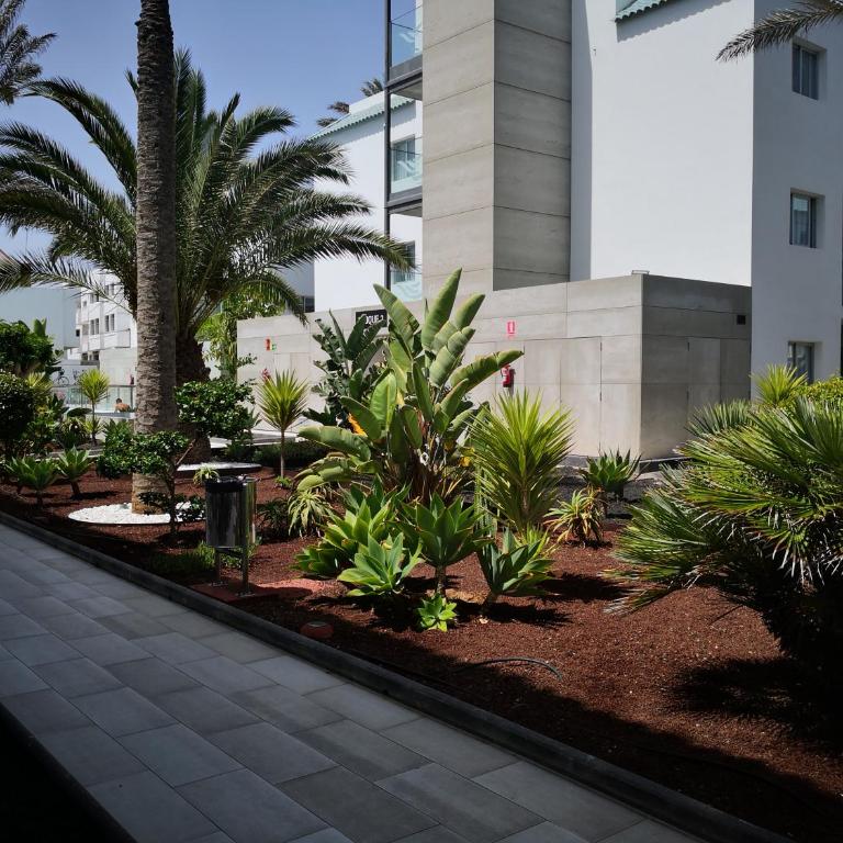 APPARTEMENT BONITO VISTAL BRISTOL SUNSET BEACH - One-Bedroom Apartment - 25