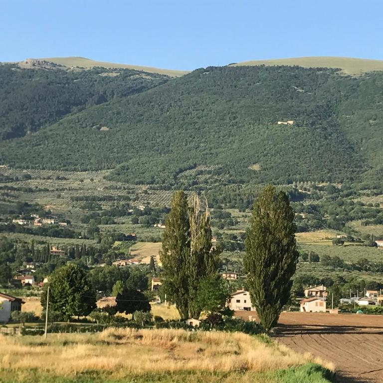 Casa Nonna Jole - Appartamento - Piano Terra - 3