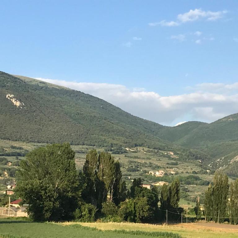 Casa Nonna Jole - Appartamento - Piano Terra - 5