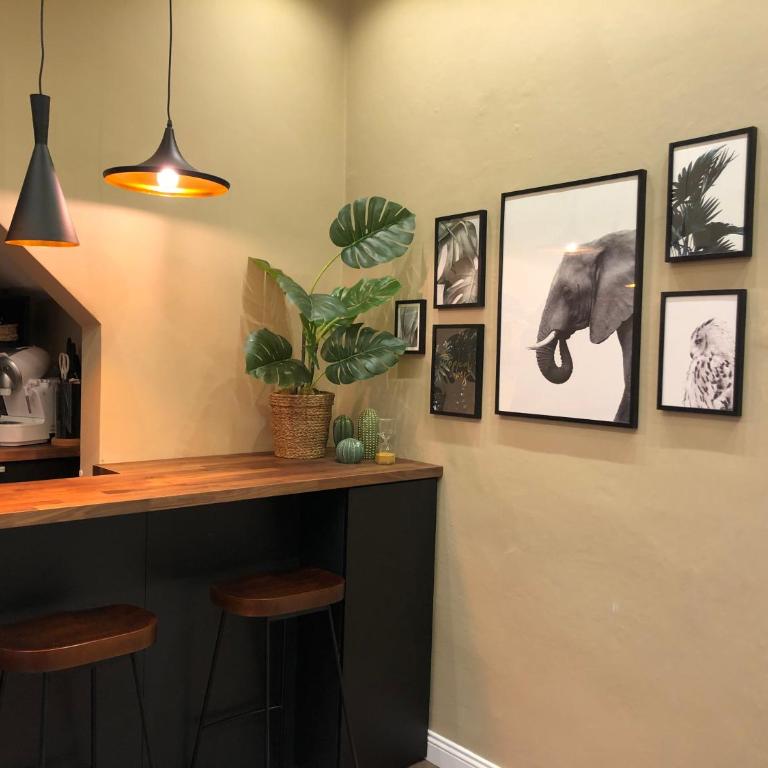 Jungle suite mood behind Piazza Signoria - Appartamento con 1 Camera da Letto - 19