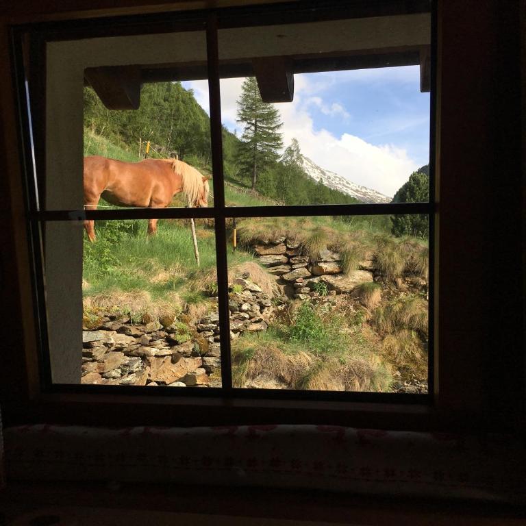 Chalet Mischabel - Ferienhaus - 64