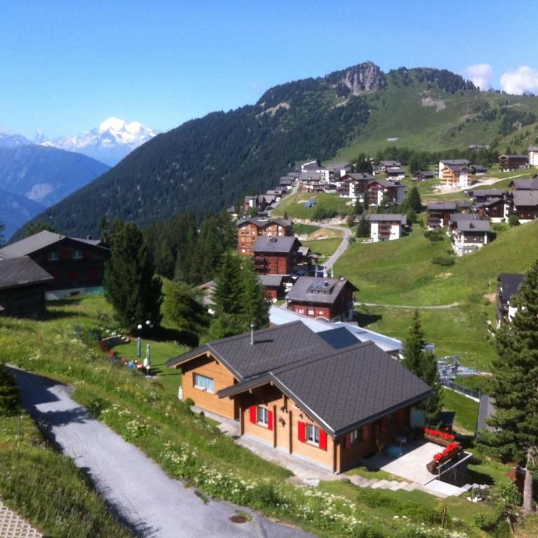 Chalet Enzian - Apartment mit Blick auf die Berge - 1