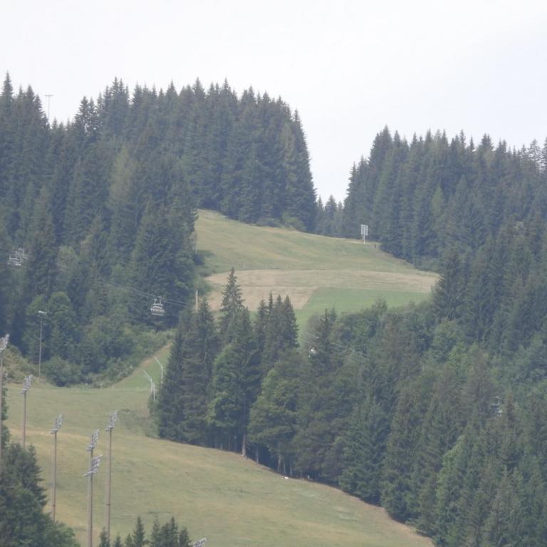 Appartements Gotthardt - Apartment with Mountain View - 1