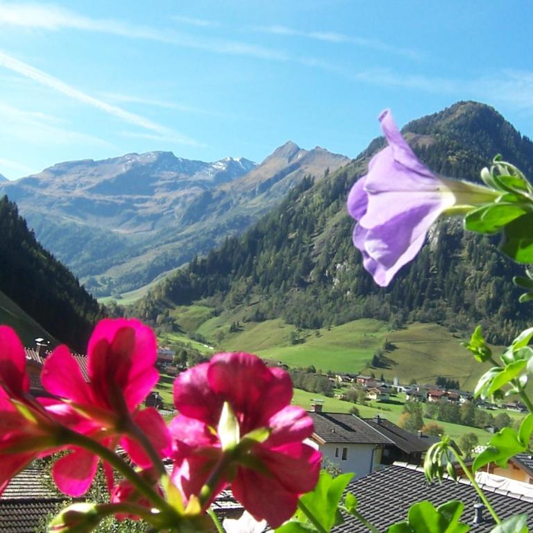 Frühstücks- Pension Sonnblickhof inkl SommerCard - Apartment mit 1 Schlafzimmer und Balkon - 3