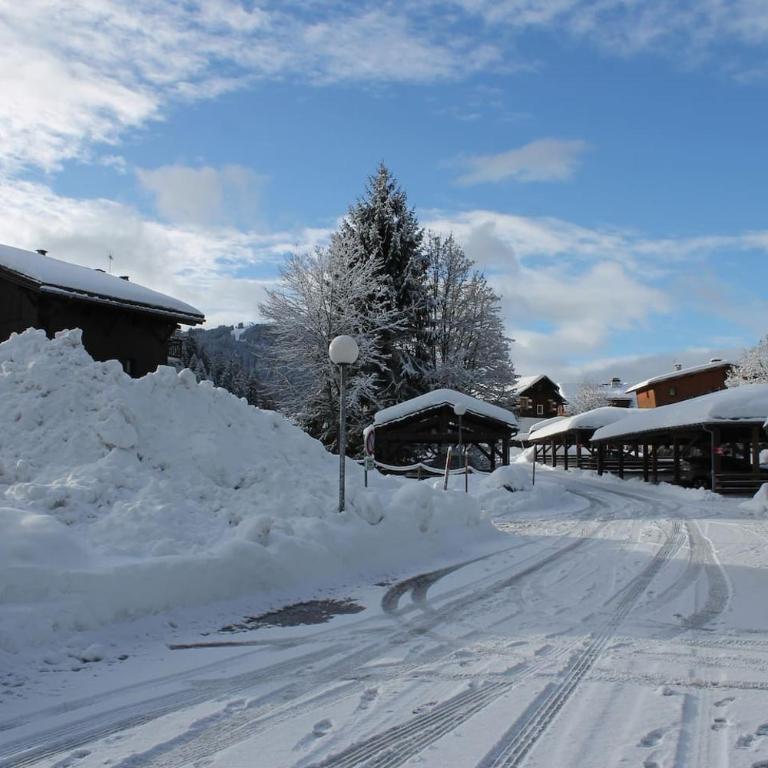 Chalet des pistes - Appartement avec Vue sur la Montagne - 26