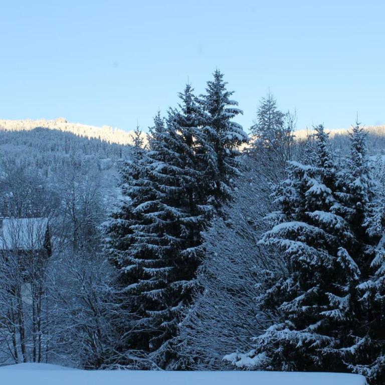 Chalet des pistes - Appartement avec Vue sur la Montagne - 23
