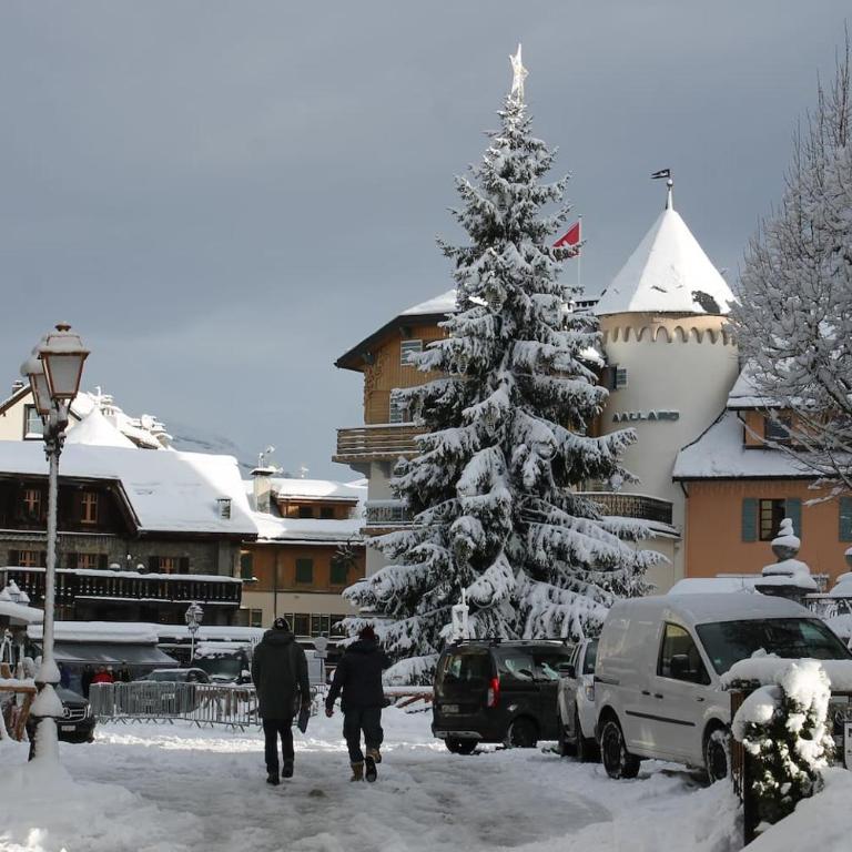 Chalet des pistes - Appartement avec Vue sur la Montagne - 27