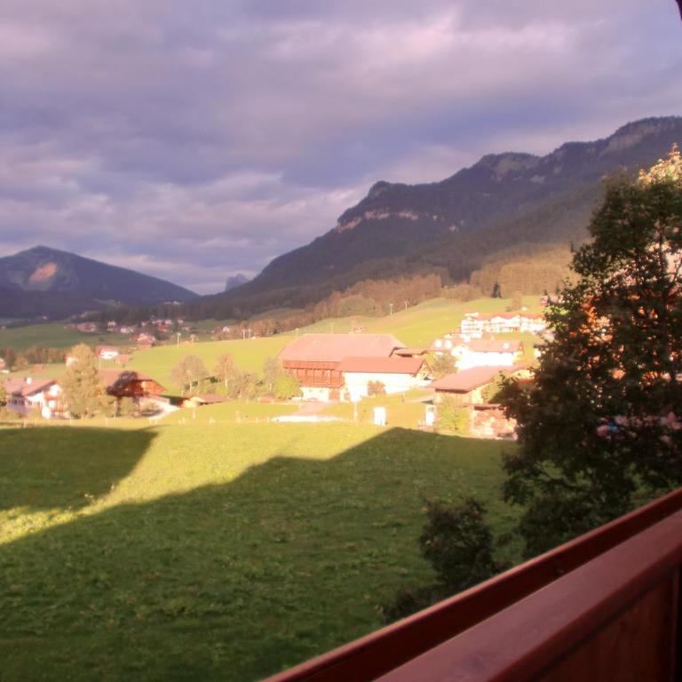 Residence Viktoria - Appartamento Superior con 1 Camera da Letto - 6