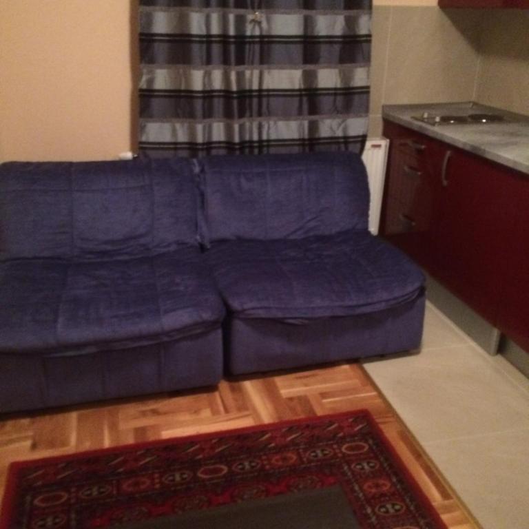 Vila Novaković - Apartman sa 1 Spavaćom Sobom - 11