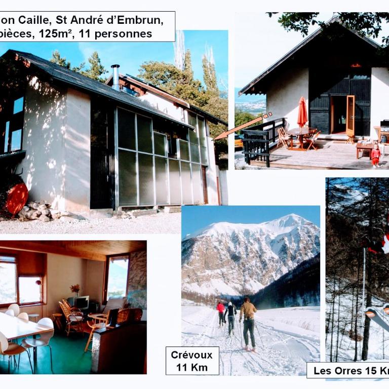 Maison CAILLE - Chalet - 41