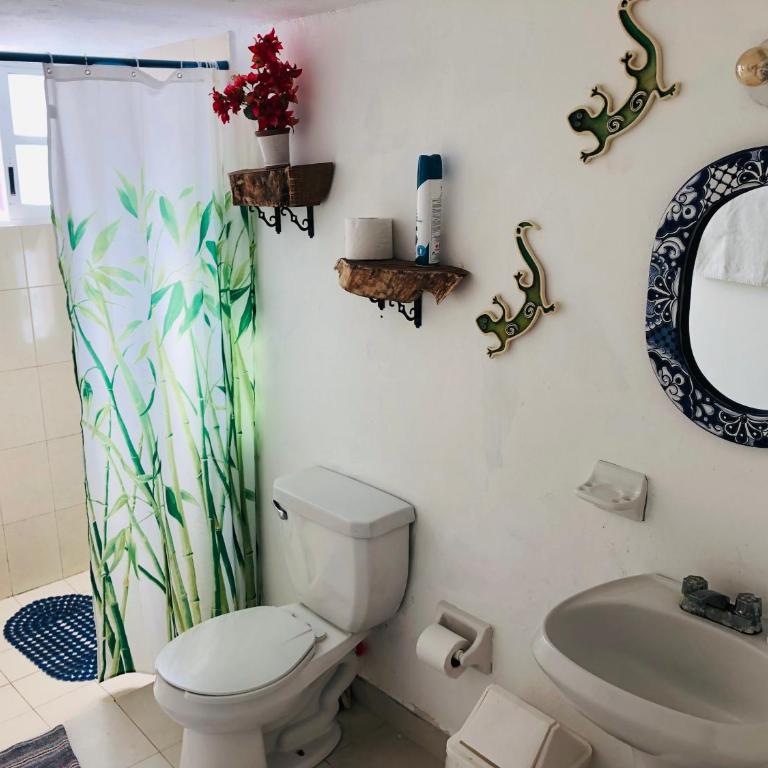 Casa Alberto Cozumel - Suite con balcón - 8
