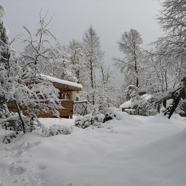Lodge Palguin Alto - Superior Chalet - 12