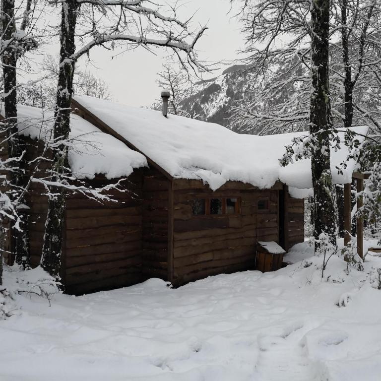 Lodge Palguin Alto - Bungalow - 11