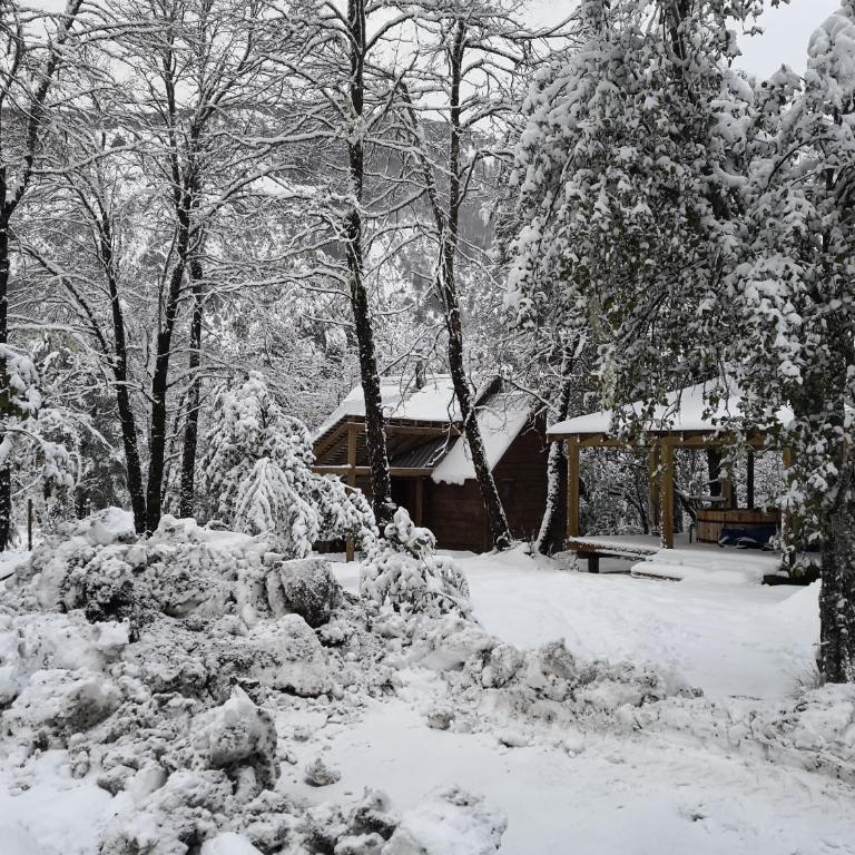 Lodge Palguin Alto - Superior Chalet - 11
