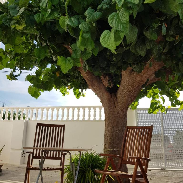 Exclusive Apartment - Playa de Marenys de Rafalcaid - Apartamento de 1 dormitorio - 87