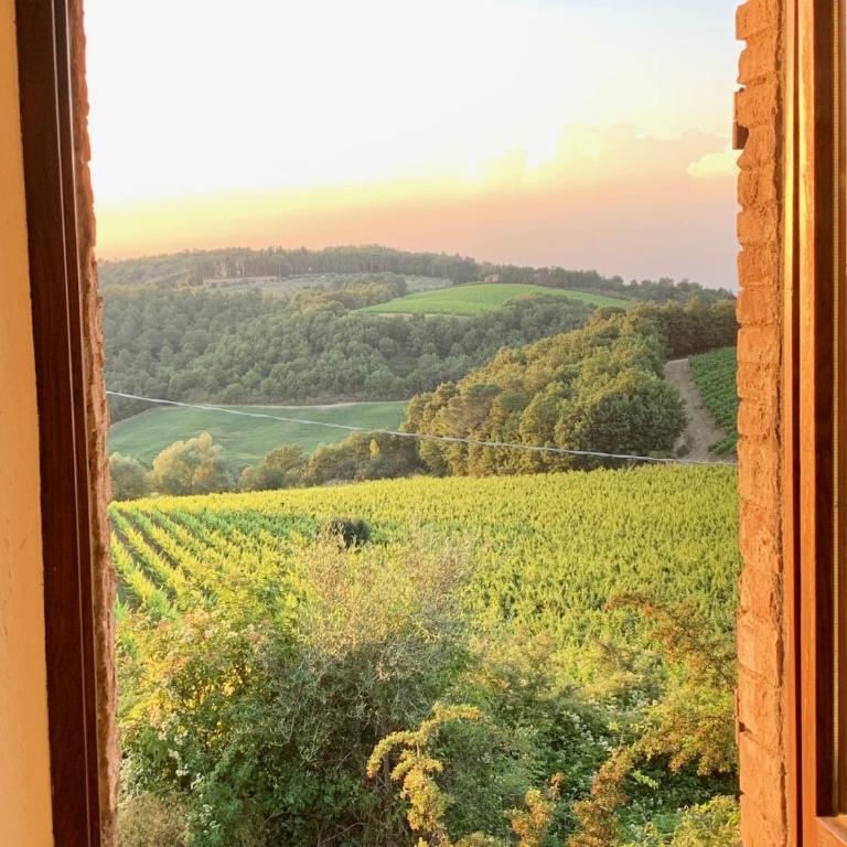 S. Bartolomeo II° - "La Loggetta" - Appartamento con 1 Camera da Letto - 22
