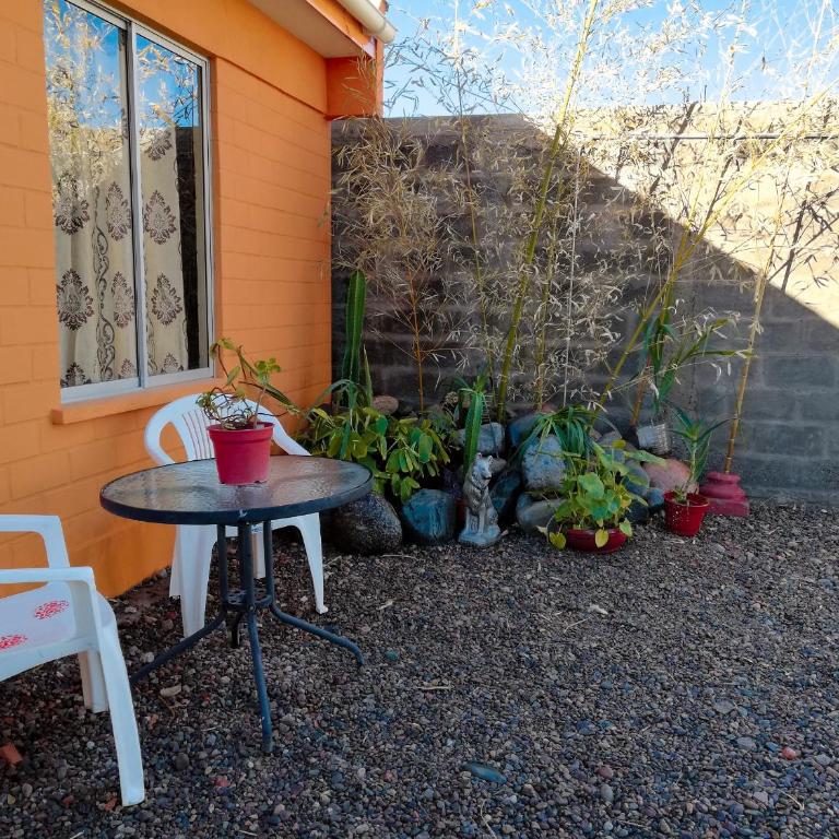 Cabaña Vicuña - Two-Bedroom Apartment - 22