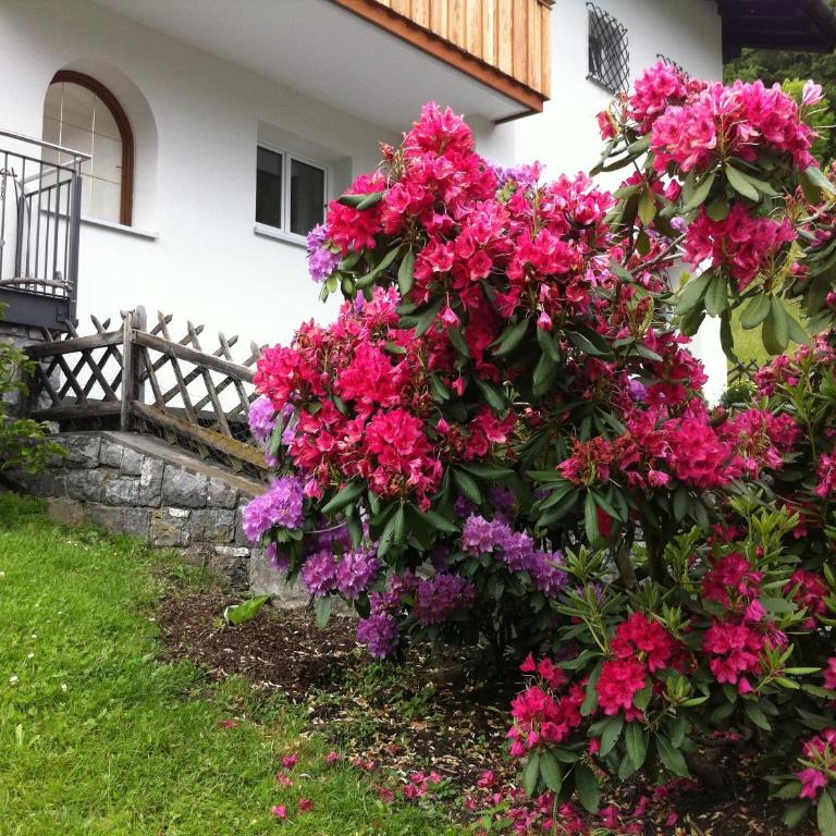 Landhaus Fuchsenstube - Chalet - 67